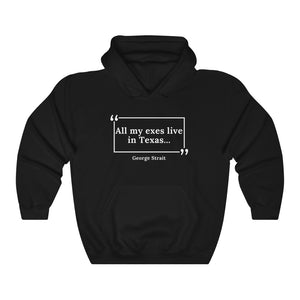 All My Exes Live in Texas Unisex Heavy Blend™ Hooded Sweatshirt